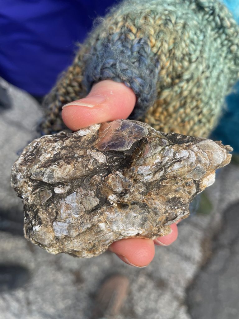 Photo - Mica schist common throughout Curtis Arboretum
